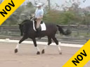 Available on DVD No.25<br>Hubertus Schmidt<br>Riding & Lecturing<br>& also Assisting<br>Todd Fletrich<br>Santos<br>by: Flemingh<br>KWPN 8 yrs old Gelding<br>Training:Prix St. George<br>Duration: 40 minutes