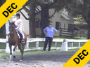 Lendon Gray<br>Assisting<br>Rachael Chowanec<br>Riding<br>Aastrakhan<br>Arabian Mare<br>16 yrs. old<br>Owner: Dressage 4 Kids<br>Training: FEI Pony<br>Duration: 59 minutes