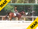 Shannon Dueck<br>Assisting<br>Jean Klaucke<br>Martini<br>6 yrs. old<br>Training: 2nd Level<br>Duration: 35 minutes