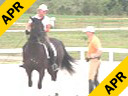 Hubertus Schmidt<br>
Riding &<br>
Asssiting<br>
Kathy Priest<br>
Shostakovich<br>
Belgium Warmblood<br>
11yrs. old<br>
Training: Grand Prix<br>
Duration: 50 minutes