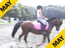 Lendon Gray<br>
Assisting<br>
Rachael Chowanec<br>
Hakuna Matata<br>
Welsh/TB Cross<br>
7 yrs. old Gelding<br>
FEI Pony<br>
TrainingL 2nd Level<br>
Duration: 60 minutes