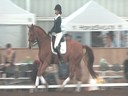 NEDA Fall Symposium<br>Day 3<br>Available on DVD No.6<br>Hubertus Schmidt<br>Assisting<br>Micaela Mabragana<br>Granada<br>14 yrs. old<br>Swedish Gelding<br>Owner: Sam Grunkorn<br>Training: Intermediaire<br>Duration: 38 minutes