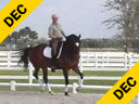 Available on DVD No.29<br>Volker Brommann<Br>Riding & Lecturing<br>Nienke<br>KWPN<br>11 yrs. old Mare<br>Owner: Charmayne Harrah<br>Training:Prix St. George<br>Duration: 26 minutes