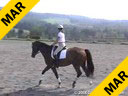 Jane Savoie<br>Assisting<br>Julia McIntyre<br>Webster<br>Hanoverian<br>8 yrs. old<br>Training: 1st Level<br>Duration: 52 minutes