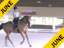 Nicholas Fyffe<br>
Assisting<br>
Naomi Sermer<br>
Botijero PC<br>
11 yrs. Old PRE-Gelding<br>
Competing I1<br>
Duration: 58 minutes
