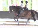 Nicholas Fyffe<br>
Assisting<br>
Laura Killian<br>
Zaomi<br>
12 yrs. Old Mare<br>
KWPN<br>
Competing 3rd Level<br>
Duration: 36 minutes
