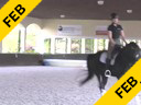 Nicholas Fyffe<br>
Assisting<br>
Katrina Sadis<br>
Zepelim<br>
12 yrs. Old Gelding<br>
Lusitano<br>
Training: Competing PSG Level<br>
Duration: 46 minutes
