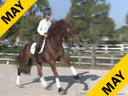 Heather Blitz<br> Riding & Lecturing<br> Paragon<br> by: Don Schufro<br> Danish Warmblood<br> 8 yrs. old Gelding<br> Training: PSG/I1<br> Owner: Heather Blitz <br> Duration: 41 minutes