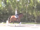 Shannon Dueck<br>
Assisting<br>
Caleb Scroggins<br>
Bilodau<br>
Zingersheide<br>
6 yrs. Old Gelding<br>
Training: 2nd/3rd Level<br>
Owner: Caleb Scroggins/Small Spark Farm<br>
Duration: 38 minutes

