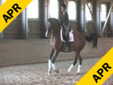 Arthur Kottas<br>
Assisting<br>
Suzanne Mente<br>
Dior<br>
Hanoverian TB<br>
22 yrs. old Gelding<br>
Training: 3rd Level<br>
Owner: Bonnie Miller<br>
Duration: 49 minutes