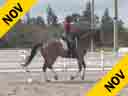 Day 2<br>
Stephen Clarke<br>
Assisting<br>
Yvonne Barteau<br>
GP Raymeister<br>
14 yrs. old Stallion<br>
Training: GP<br>
Owner: Ginna Frantz<br>
Duration: 40 minutes