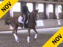 NEDA<br>Rien van der Schaft<br>
Assisting<br>
Kristen Schwaegerle<br>
Fhlorenzia<br>
4 yrs. Old Mare<br>
Hanoverian<br>
Duration: 18 minutes
