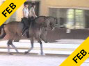 Nicholas Fyffe<br>
Assisting<br>
Micah Deligdish<br>
Zilano<br>
12 yrs. Old Gelding<br>
KWPN<br>
Schooling GP<br>
Duration: 38 minutes
