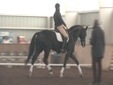 NEDA Fall Symposium<br>Day 2<br>Hubertus Schmidt<br>Assisting<br>Keith Angstadt<br>Donnertanz<br>11 yrs.old Gelding<br>Hanoverian <br>Owner: Ellen Sullivan<br>Training: Prix St. George<br>Duration: 47 minutes