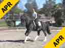 Shannon Peters<br>
Riding & Lecturing<br>
Lexor<br>
15 yrs. old Gelding<br>
Dutch<br>
Duration: 28 minutes