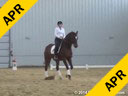 Day 2<br>
Jan Brink<br>
Assisting<br>
Amy Lewis<br>
Sir Steierman<br>
5 yrs. Old Hanoverian<br>
Competed 4&5 yrs. Old Championships<br>
Duration: 36 minutes
