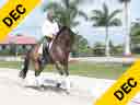 Mette Rosencrantz<br>
Riding & Lecturing<br>
Rico<br>
Danish Warmblood<br>
13 yrs. Old Gelding<br>
Training: Intermediare 1-2<br>
Duration: 32 minutes