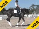 Day 3<br>
Jan Brink<br>
Assisting<br>
Robin Matteson<br>
Eye Candy<br>
14 yrs. Old Hanoverian<br>
16th schooling I-1<br>
Owner: Robin Matteson<br>
Training: PSG/I1<br>
Duration: 38 minutes
