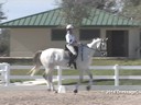 Day 2<br>
Stephen Clarke<br>
Assisting<br>
Louisa Eadie<br>
Rosevie's Decorum<br>
4 yrs. old<br>
Training: FEI 4 yrs. old<br>
Duration: 30 minutes