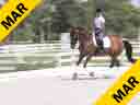 Bill Warren<br>
"Lunging a Rider<br>
Without Stirrups"<br>
Assisting<br>
Sydney Ewart<br>
Romantic<br>
Oldenburg<br>
14 yrs. Old Gelding<br>
Training: Lunging<br>
Owner: Bill Warren<br>
Duration:  25 minutes
