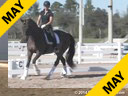 Stephen Clarke<br>
Assisting<br>
Christina Vinios<br>
Donna Carina 6<br>
9 yrs. Old Mare<br>
Oldenburg<br>
by: Don Primero<br>
Owner: Christina Vinios<br>
Duration: 36 minutes