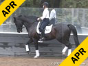 Conrad Schumacher<br>
Assisting<br>
Jessica Van Eyek<br>
Wittelsbach D<br>
KWPN<br>
by: Rodieum<br>
8 yrs. old Gelding<br>
Training: 4th Level<br>
Owner: Mary Johnson<br>
Duration: 23 minutes

