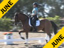 Day 1<br>
Arthur Kottas<br>
Assisting<br>
Jane Carol<br>
Farrelly<br>
Holsteiner<br>
9 yrs. old Gelding<br>
Training: PSG 4th/ Level<br>
Owner: Jane Carol<br>
Duration: 43 minutes
