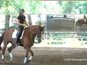 Day 2<br>
Felicitas von Neumann<br>
Assisting<br> 
Dolly Kennedy<br>
Torch<br>
17 yrs. old Arabian<br>
Training: 1st Level<br>
Duration: 28 minutes
