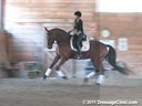 Bertsy Steiner<br>
Assisting<br>
Wendy Limerick<br>
Danos<br>
Oldenburg<br>
11 yrs. old Gelding<br>
Training: 4th Level<br>
Owner: Wendy Limerick<br>
Duration: 34 minutes
