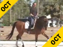 Shannon Dueck<br>Assisting<br>Beatric Bennett<br>Corona<br>KWPN<br>14 yrs. old<br>Training: Grand Prix<br>Duration: 37 minutes