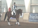 Available on DVD No.5<br>NEDA Fall Symposium<br>Day 3<br>
Hubertus Schmidt<br>
Assisting<br>
Emily Gershberg<br>
Zatino H<br>
5 yrs. old Gelding<br>
KWPN<br>
Training: 2nd Level<br>
Duration: 27 minutes