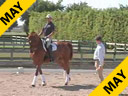 Availble on DVD No.24<br>Hubertus Schmidt<br>Assisting<br>Oded Shimoni<br>Valentino<br>11 yrs. old Gelding<br>Owned by: Katherine von Ertfelda<br>Training:Grand Prix<br>Duration: 50 minutes