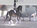 USDF Trainers Conference<br>
Lilo Fore &<br>
Christian Matthiesen<br>
Assisting<br>
Karen Pavicic<br>
Beaujolais<br>
Oldenburg<br>
7 yrs. Old Mare<br>
by: Bordeaux<br>
Training: FEI Level<br>
Duration: 37 minutes


