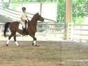 Day 2<br>
Felicitas von Neumann<br>
Assisting<br> 
Julie Cochron<br>
Toric<br>
7 yrs. old Hanoverian<br>
Training: 4th Level<br>
Duration: 25 minutes

