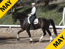 Mette Rosencrantz<br>Riding & Lecturing<br>Rockafeller<br>Swedish Warmblood<br>7 yrs. old<br>Training: 3rd Level<br>Duration: 33 minutes