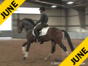 Anne Gribbons<br>
Assisting<br>
Lesley Eden<br>
Let’s Dance<br>
German Sport<br>
By: Laurentio<br>
5 yrs. old Gelding<br>
Training: Young Horse Program<br>
Owner: Anne Gribbons<br>
Duration: 45 minutes
