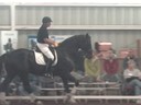 NEDA  Fall Symposium<br>Day2<br>Hubertus Schmidt<br>Assisting<br>Keith Angstadt<br>Donnertanz<br>11 yrs.old Gelding<br>Hanoverian <br>Owner: Ellen Sullivan<br>Training: Prix St. George<br>Duration: 47 minutes