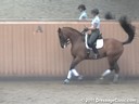 USDF Adult Amature Clinic Series<br>USDF APPROVED<br>
University Accreditation<br>Day 1<br>
Charlotte Bredahl<br>
Assisting<br>
J.J.Tate<br>
Faberge<br>
Westfalen<br>
by: Florestan<br>
7 yrs. old Gelding<br>
Training: Developing<br>
Duration: 27