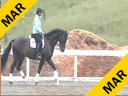 Arthur Kottas<br>
Assisting<br>
Julie Buckley<br>
Sinatra<br>
Oldenburg<br>
7 yrs. old Gelding<br>
Training: 1st Level<br>
Owner: Julie Buckley<br>
Duration: 17 minutes
