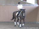 USDF Adult Amature Clinic Series<br>USDF APPROVED<br>
University Accreditation<br>
Day 1<br>
Charlotte Bredahl<br>
Assisting<br>
Cara Klothe<br>
Kiss Me Kate<br>
Warmblood<br>
14 yrs. old Mare<br>
Training: 3rd  Level<br>
Duration: 38 minutes