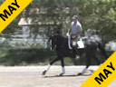 Jan Ebeling<br>Riding & Lecturing<br>Rosen Zauver<br>Oldenburg<br>6 yrs. old Mare<br>Training: 2nd Level<br>Duration: 37 minutes