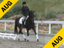 Jeremy Steinberg<br>
Assisting<br>
Chelsea Nunweiller<br>
Oley<br>
KWPN<br>
12 yrs. old Gelding<br>
Training: PSG<br>
Owner: Grit High<br>
Duration: 22 minutes
