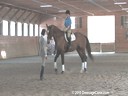 NEDA Spring Symposium<br>Day 2<br>
Bettina Drummond<br>
Assisting<br>
Marty Whittle<br>
Theodore<br>
Warmblood/Thoroughbred<br>
16 yrs. old<br> 
Training: 2nd  Level<br>
Duration: 32 minutes