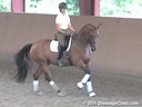 USDF Adult Amature Clinic Series<br>USDF APPROVED<br>
University Accreditation<br>
Day 2<br>
Charlotte Bredahl<br>
Assisting<br>
J.J.Tate<br>
Faberge<br>Westfalen<br>
by: Florestan<br>
Owner: Elizabeth Guarisco-Wolf.<br>
7 yrs. old Gelding<br>
T