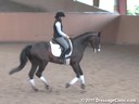 USDF Adult Amature Clinic Series<br>USDF APPROVED<br>
University Accreditation<br>
Day 2<br>
Charlotte Bredahl<br>
Assisting<br>
Cara Klothe<br>
Kiss Me Kate<br>
Warmblood<br>
Owner: Amy Faucher<br>
14 yrs. old Mare<br>
Training: 3rd  Level<br>
