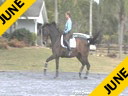 Bo Jena<br>
Assisting<br>
Jennifer Beaumert<br>
Lancelot<br>
Danish<br>
12 yrs. old Gelding<br>
Training:GP<br>
Duration: 34 minutes