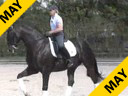 Betsy Steiner<br>Riding & Lecturing<br>Findley Titaan<br>9 yrs. Old Gelding<br>KWPN<br>Training: Prix St. George/Intermediaire 1<br>Duration: 26 minutes