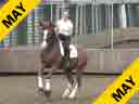 Leunis van Lieren<br>Assisting<br> Thamar Zweistra<br>Hexagons Truppa<br>8 yrs.Old KWPN Gelding<br>Training: Prix St. George/Intermediaire 1<br>Duration: 24 minutes