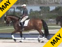 Bill Warren<br>
Riding & Lecturing<br>
Romantic<br>Oldenburg<br>
12 yrs. old<br>
Training: Intermediaire-2<br>
Duration: 38 minutes

