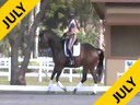 Betsy Steiner<br>
Riding & Lecturing<br>
Walentino<br>
13 yrs. Old Gelding<br>
Dutch<br>
Training: PSG Level<br>
Owner: Michele Fragner<br>
Duration: 29 minutes
